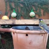 photo 2023-12-28 08-53-45