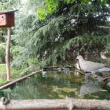 photo 2023-05-02 15-56-26