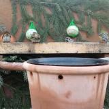 photo 2024-01-25 07-58-59