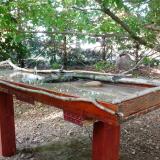 photo 2022-06-20 18-26-02