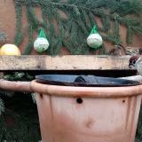 photo 2024-01-06 14-16-27