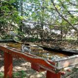 photo 2022-04-12 11-33-08