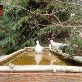 photo 2023-03-20 11-36-51