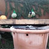 photo 2024-01-08 08-38-44