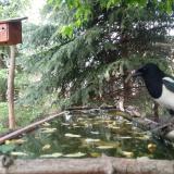 photo 2023-05-03 12-27-42