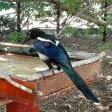 photo 2022-06-27 13-14-36