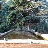 photo 2023-03-18 16-41-25