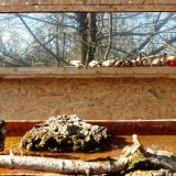 photo 2022-02-10 13-19-25