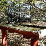 photo 2022-10-17 11-53-18