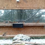 photo 2023-12-05 09-08-13