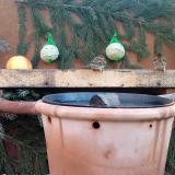 photo 2023-12-28 08-56-41