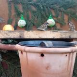 photo 2023-12-28 08-56-47