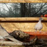 photo 2022-02-06 09-36-51