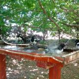 photo 2022-06-03 13-35-44