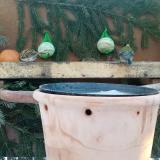 photo 2024-01-21 08-06-38