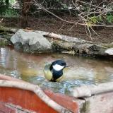 photo 2022-04-20 18-23-52 szencinege