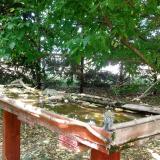 photo 2022-05-11 14-50-01