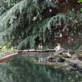 photo 2023-08-05 13-42-24