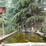 photo 2023-04-09 12-37-30