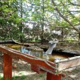 photo 2022-04-14 10-01-53