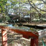 photo 2022-10-17 09-56-49