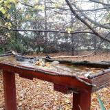 photo 2022-10-23 08-17-12