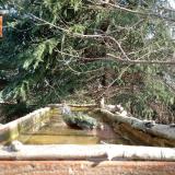 photo 2023-03-13 08-58-27