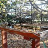 photo 2022-10-20 08-34-40