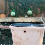 photo 2024-01-21 08-05-31