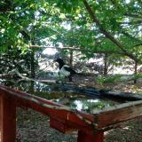 photo 2022-06-03 10-18-03