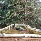 photo 2023-03-13 08-04-28