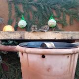 photo 2023-12-28 08-58-26