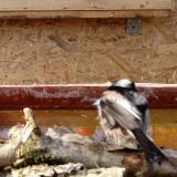 photo 2022-02-14 13-15-39 oszapo