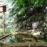 photo 2023-05-23 14-32-11