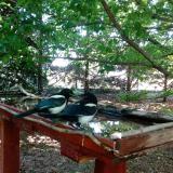 photo 2022-06-03 10-43-58