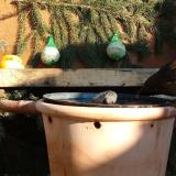 photo 2024-01-11 13-14-40