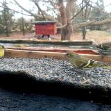 404427387 1388416238762364 5208067830494956737 n