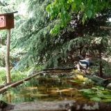 photo 2023-05-17 15-35-17