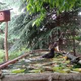 photo 2023-05-25 12-42-38