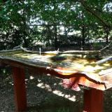 photo 2022-07-27 15-22-00