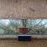 photo 2023-01-12 14-32-54