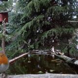 photo 2023-04-03 18-59-36