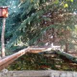 photo 2023-09-27 09-41-05