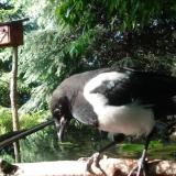 photo 2023-05-21 17-16-38