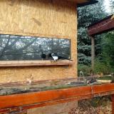 photo 2022-10-26 09-53-36