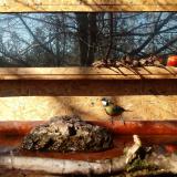 photo 2022-02-10 10-52-38