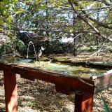 photo 2022-10-17 12-11-35