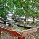 photo 2022-05-23 12-30-34