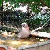 photo 2022-05-12 16-25-46 szajko