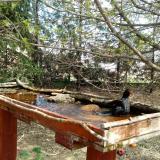 photo 2022-04-06 12-40-16